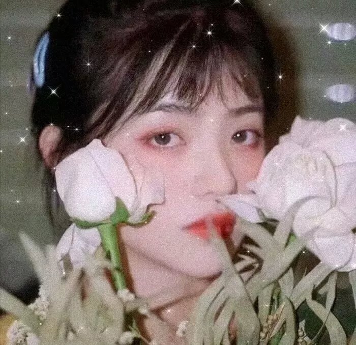 竞选伙伴